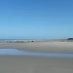 L Horizon Vue